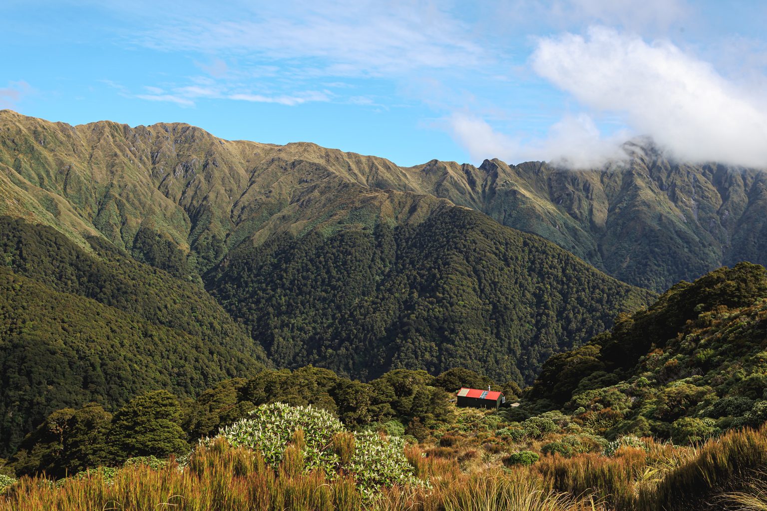 Back Ridge Hut 25 huts to visit in 2025 - Wilderness Magazine
